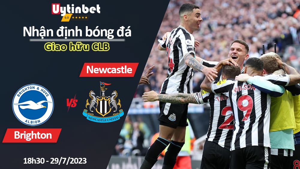 Nhận định bóng đá Brighton vs Newcastle, 18h30 ngày 29/7, Giao hữu CLB