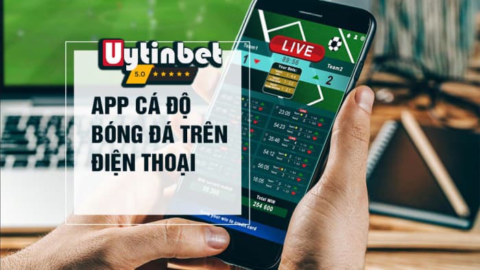 Những lưu ý khi sử dụng app nhà cái