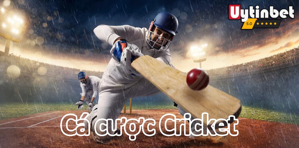 Cá cược Cricket là gì?