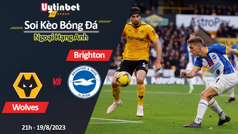 Soi kèo Wolves vs Brighton, 21h ngày 19/8/2023, Ngoại Hạng Anh