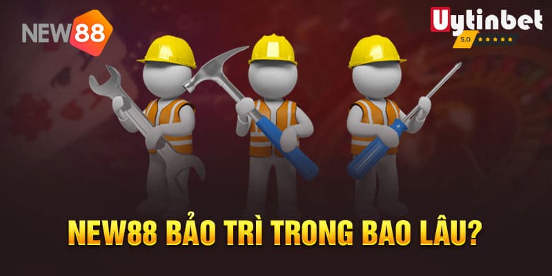 New88 bảo trì định kỳ hàng tuần