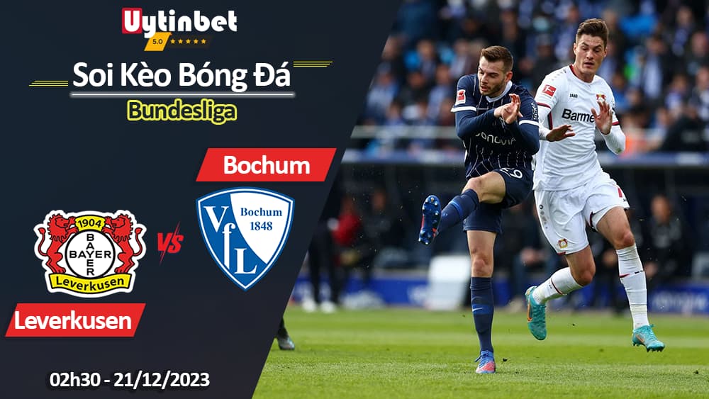 Bayer Leverkusen vs Bochum, 02h30 ngày 21/12/2023