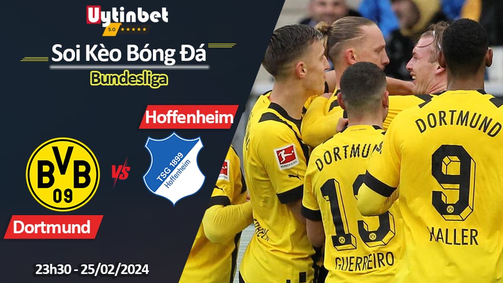 Borussia Dortmund vs Hoffenheim, 23h30 ngày 25/02/2024